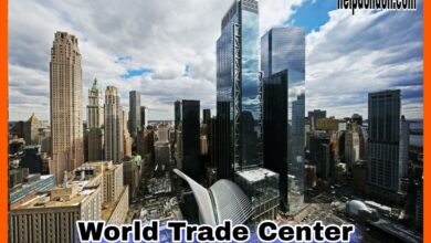 Iconic World Trade Center Skyline